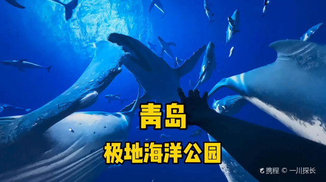 做好防护享受冰雪旅途