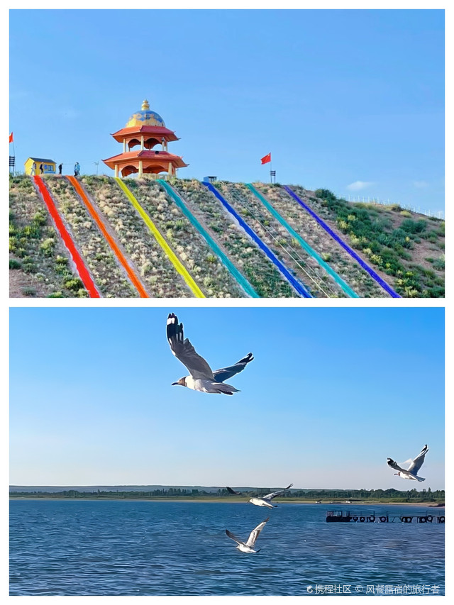 红碱淖一日游