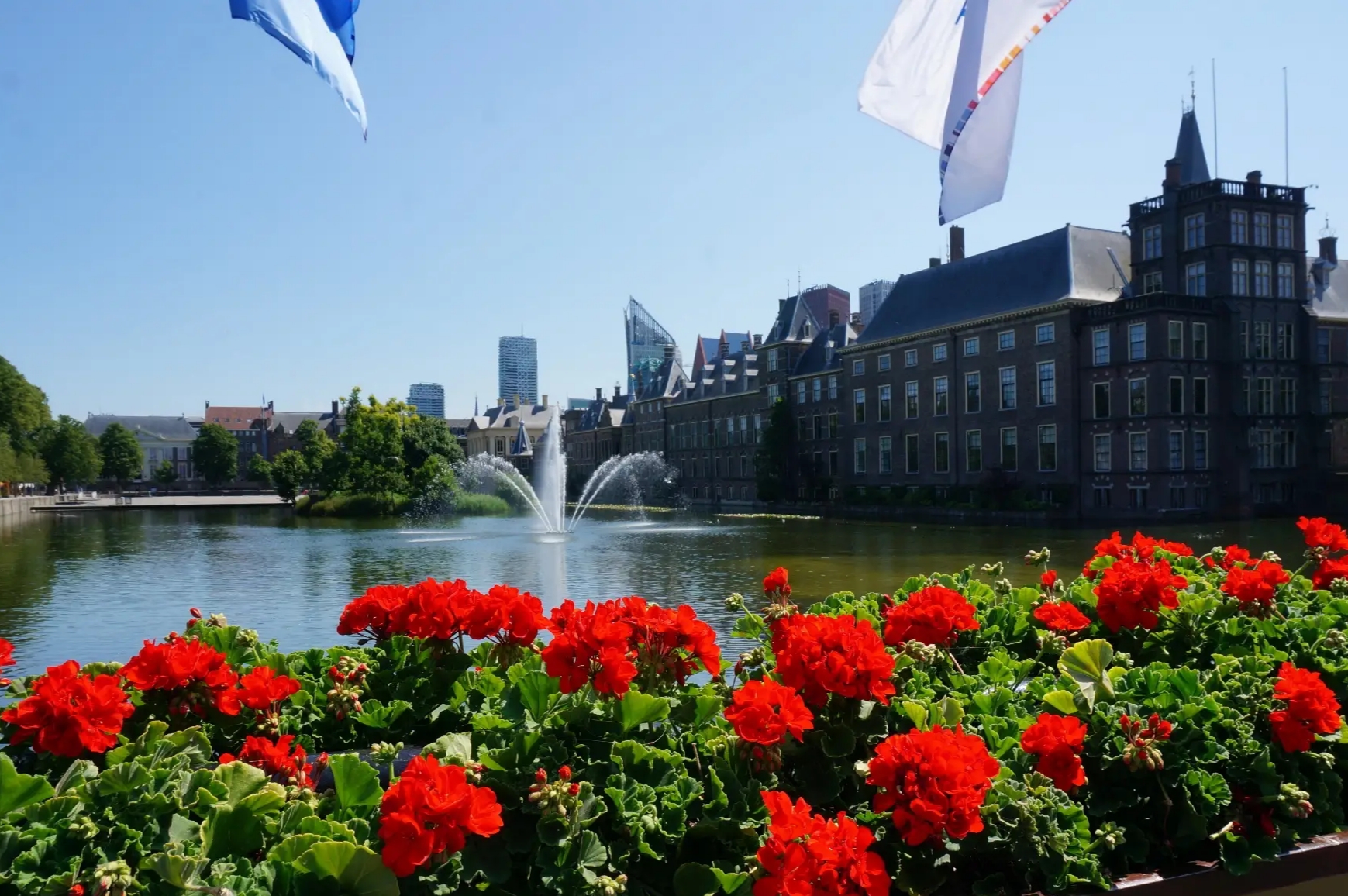 荷兰和平宫之旅：探索宫廷浪漫与欧洲文化