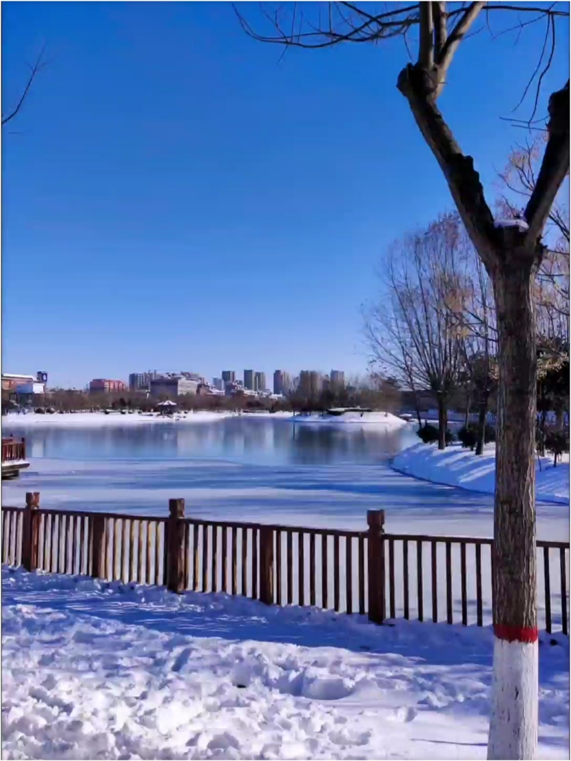 雪景