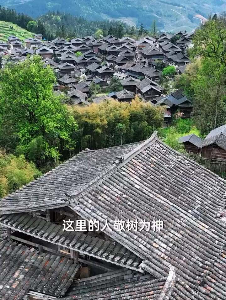 唯一个可以合法持枪的地方