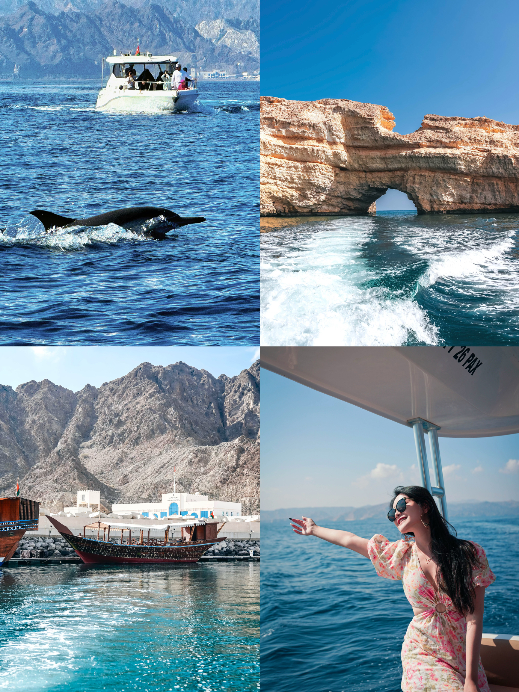 阿曼湾追海豚一日游攻略🐬中东旅游玩出度假感！