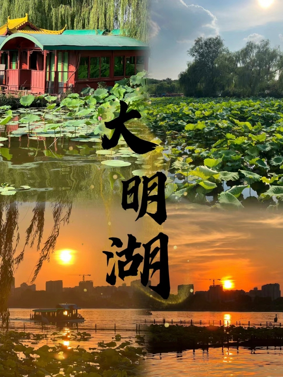 📸大学生穷游之济南篇 | 美丽的大明湖！