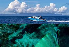 Tomohon Market购物图片