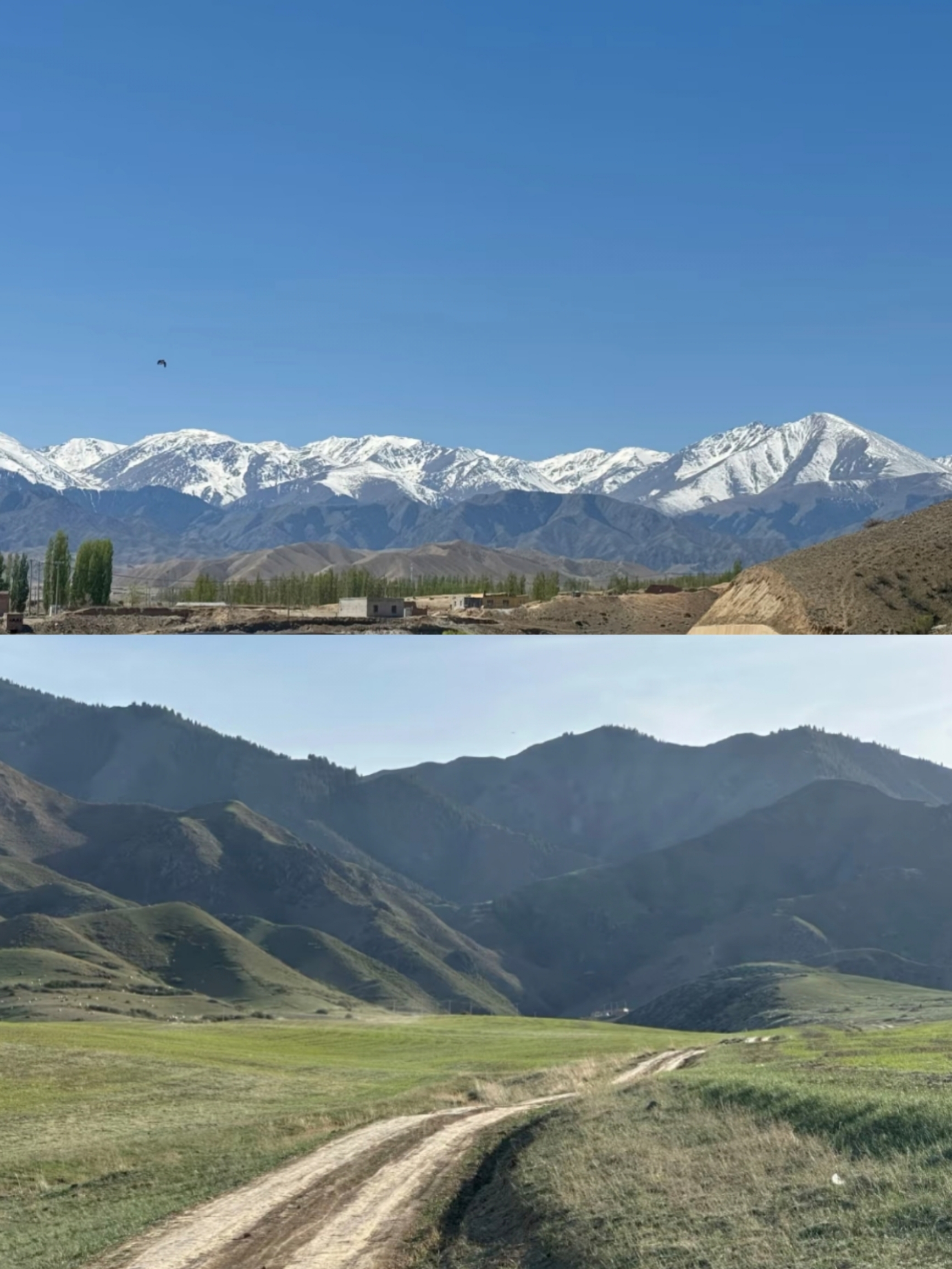 吉木萨尔县画家村羊圈酒吧