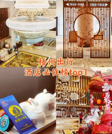梧州江滨维景国际酒店图片