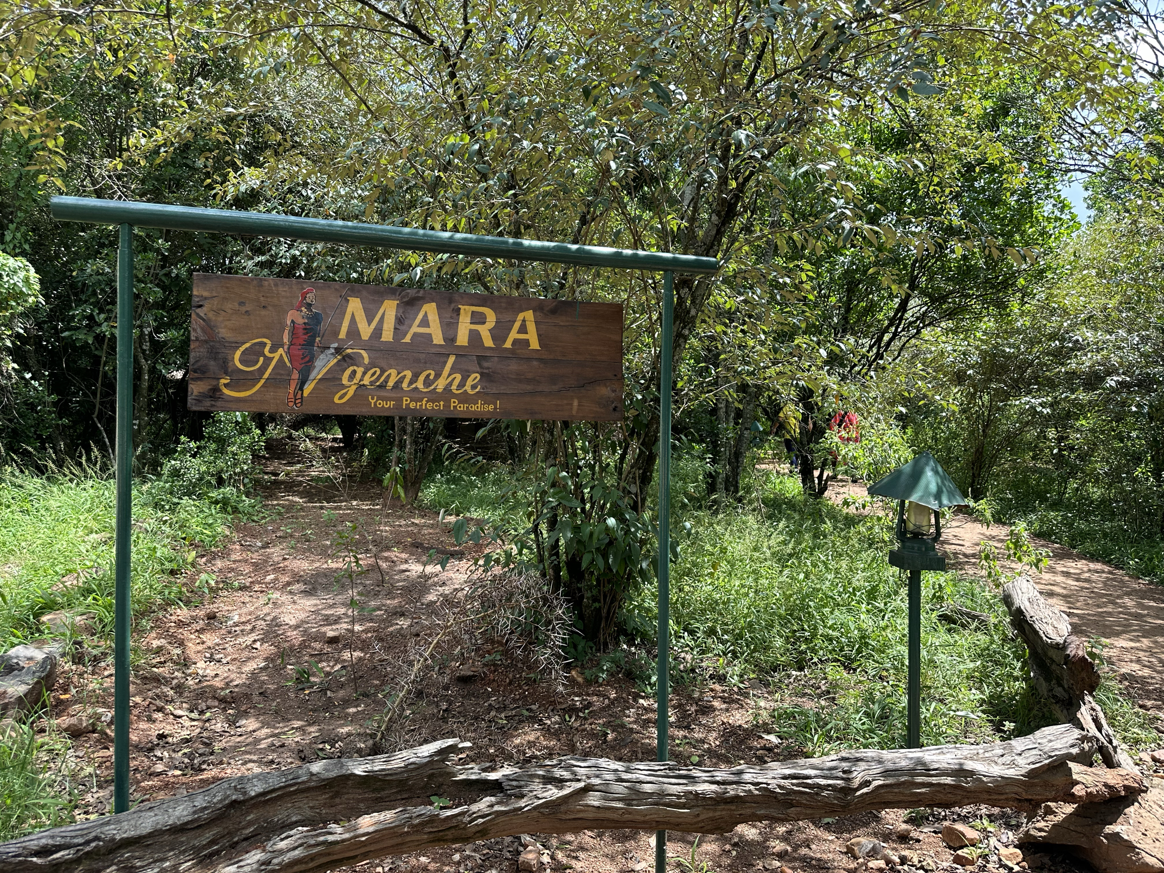 马拉河边的野奢帐篷酒店 Mara Ngenche