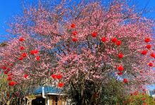 白岩公园景点图片