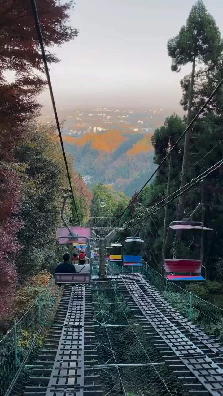 东京周边一日游之高尾山 #东京 #东京高尾山 #携程旅行推荐官