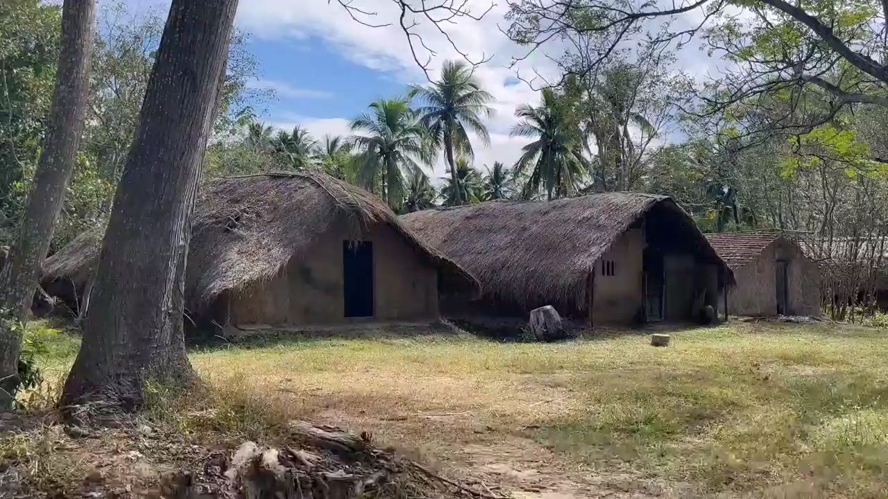 海南白查村