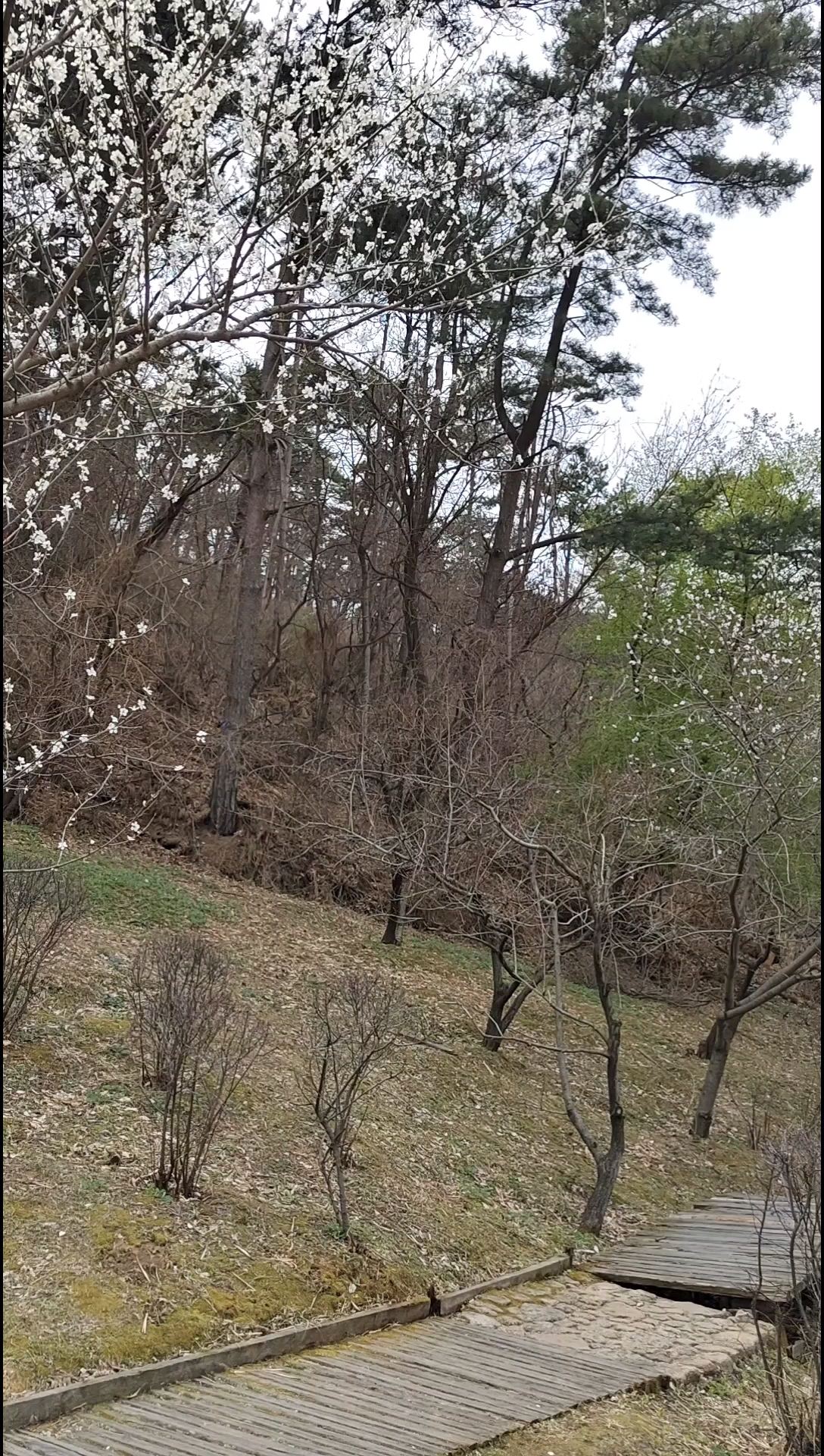 千山风景区桃花溪谷