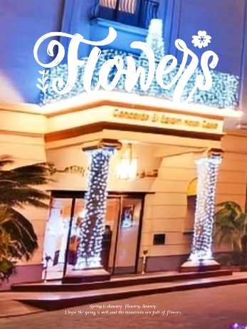 开罗艾尔萨拉姆协和酒店体验  开罗艾尔萨拉姆协和酒店位于吉萨金字塔附近，是一家提供独特体验的豪华酒店
