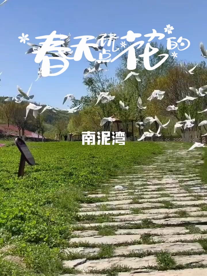 取一处花香，忘世间慌张，延安南泥湾公园五一好去处，山青水秀，