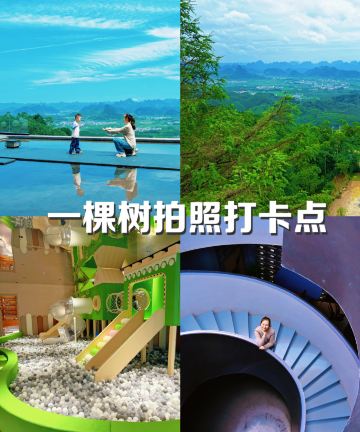 上林一棵松民宿图片