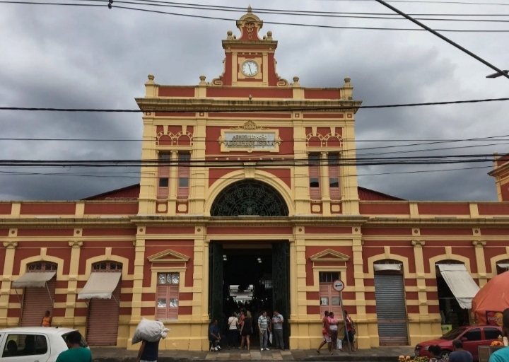 马瑙斯的阿杜弗利斯波亚市场，建于1882年，据说是模仿巴黎的中央市场的，而且各种建材都是法国进口的，