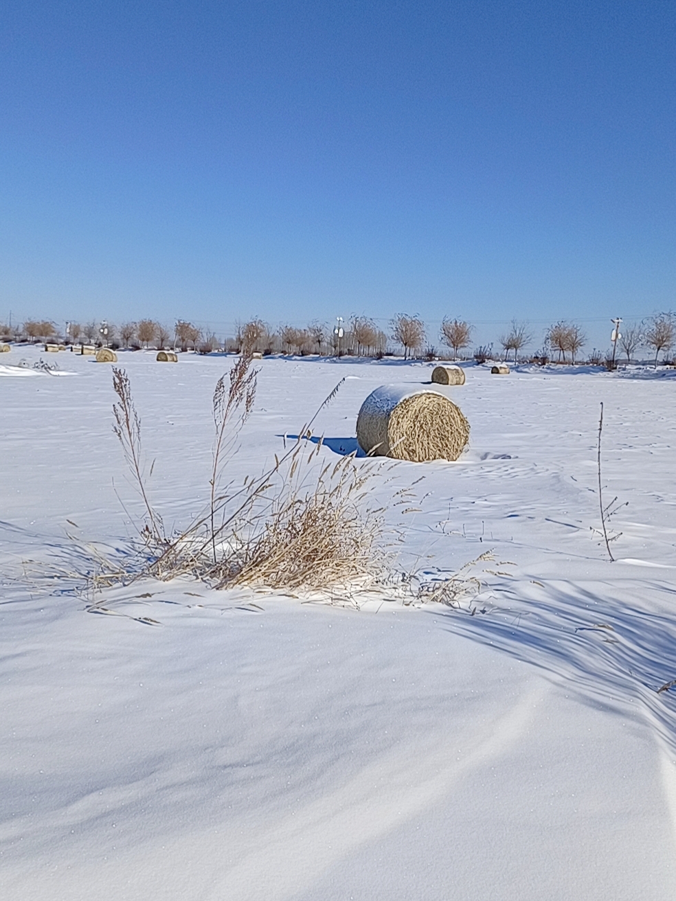 谁的家乡还没有雪呢🌨️！