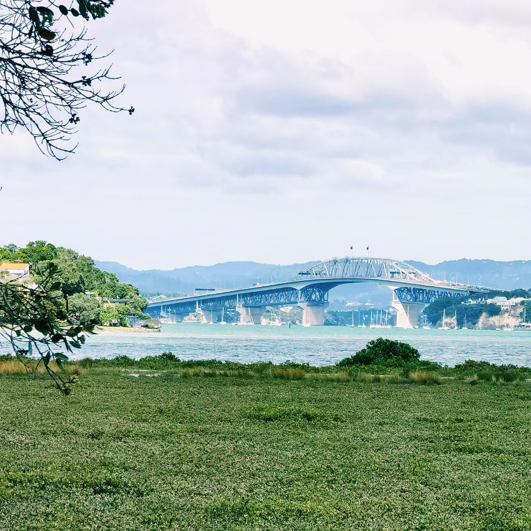 野地海滩🏝️的滩涂湿地的自然风光