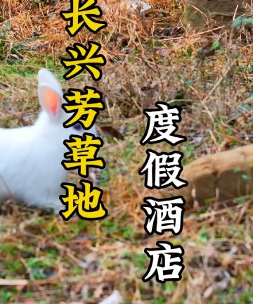 长兴芳草地度假酒店图片