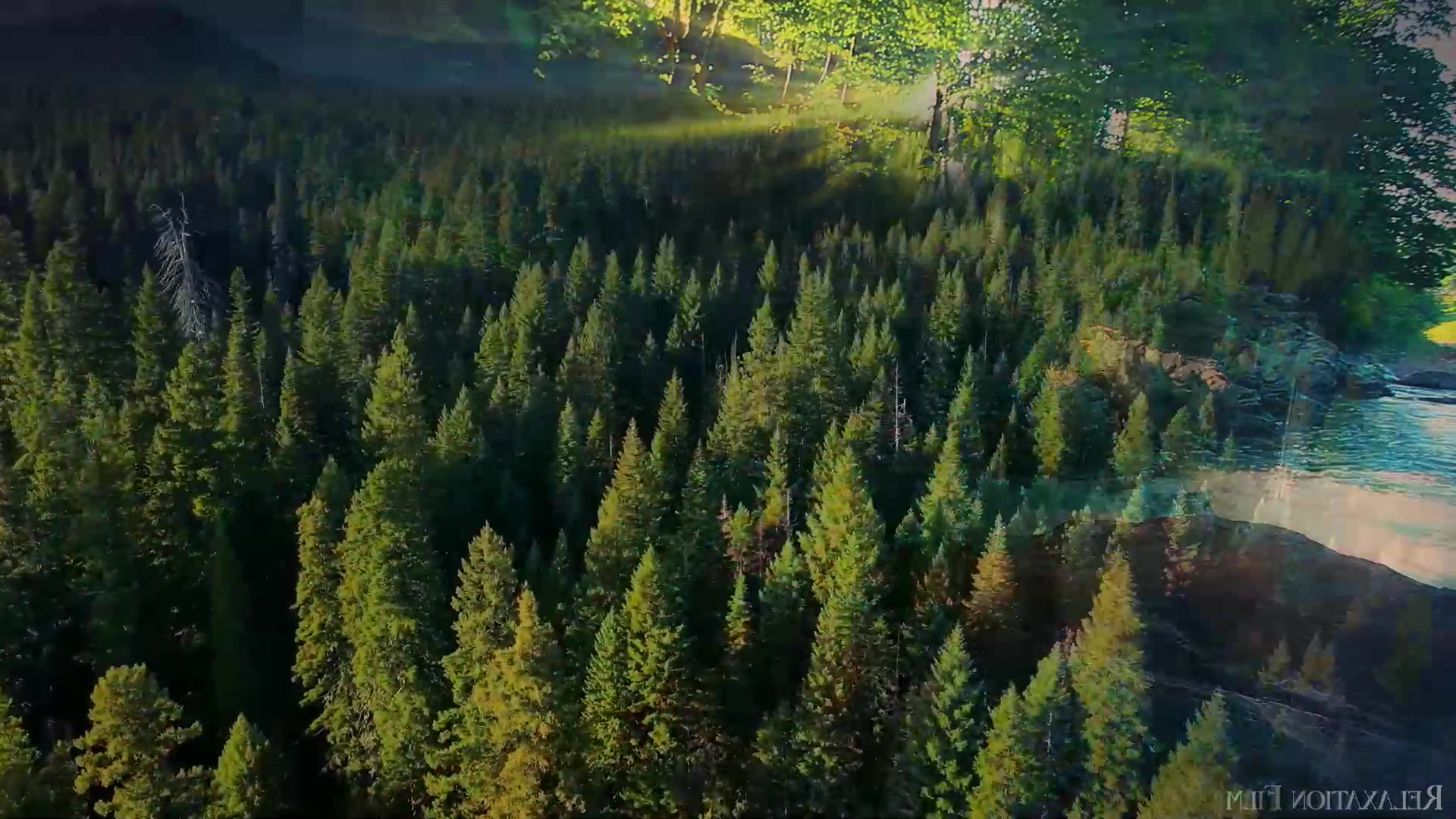 奥地利森林美景记录