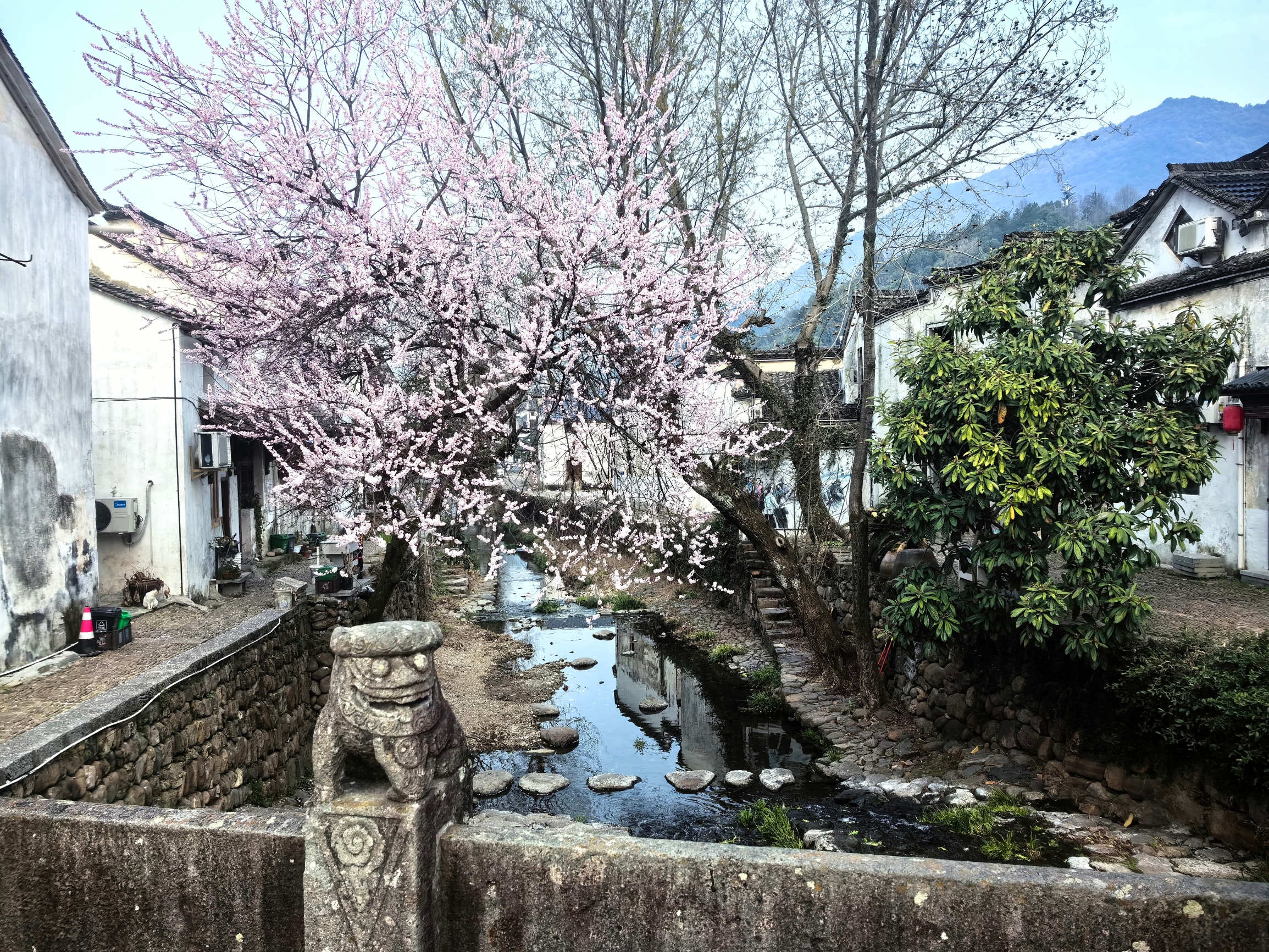 九龙山是古景名山，原名“九炉山”，早在清朝康熙年间以前，就已成为定番州（即今惠水县，隶属于贵州省黔南