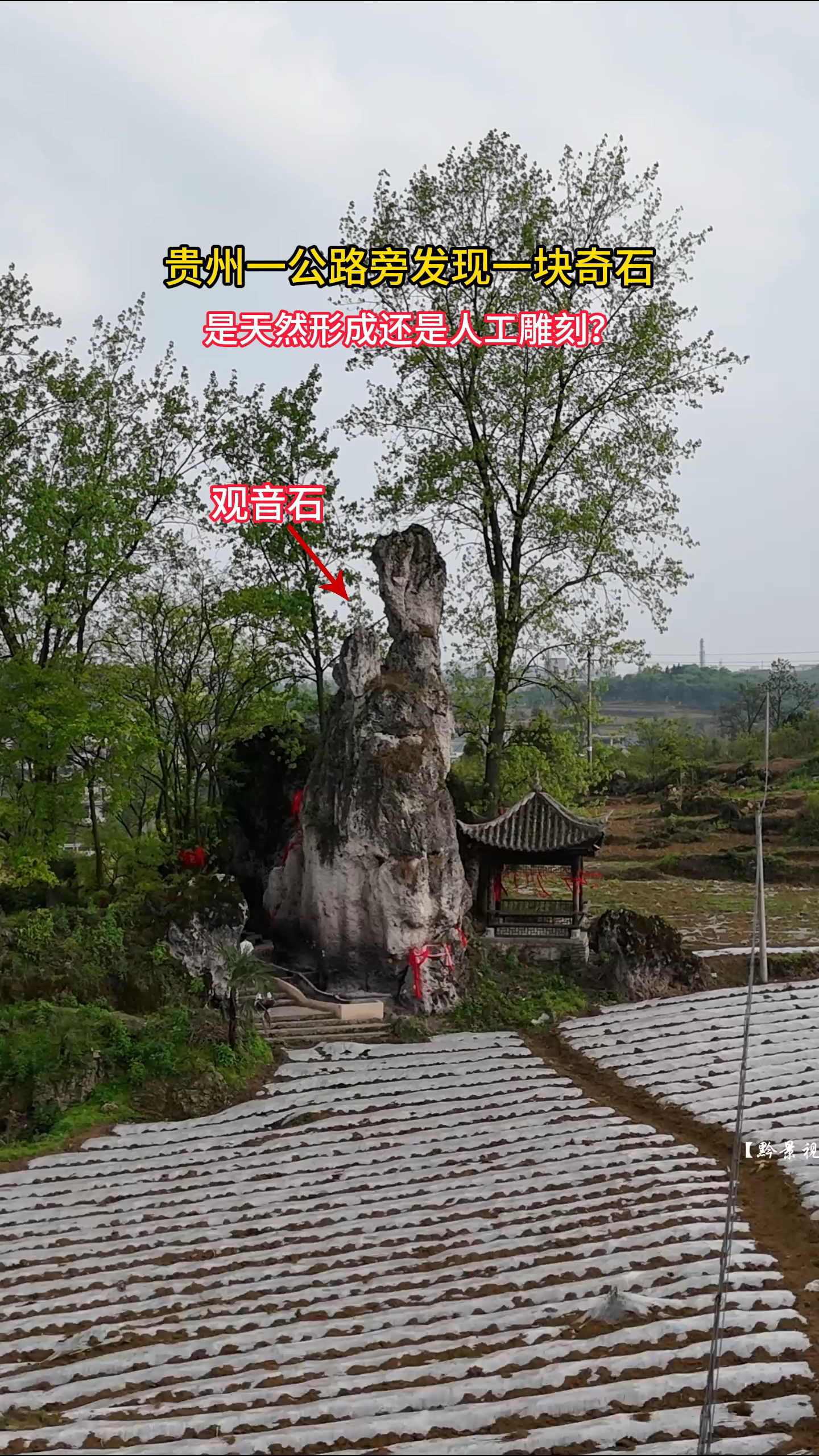 贵州一公路旁边发现一块奇石，外形酷似一尊观音，究竟是天然形成还是人工雕刻？#神秘 #石头 #观音