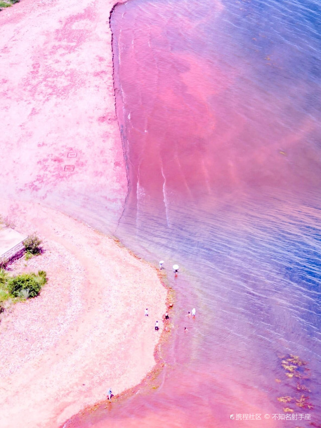 浪漫沙滩地,小马尔代夫粉色沙滩,这里的粉色沙滩全国独一无二|打卡