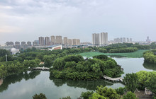 迎春饭店(富华路店)餐厅图片