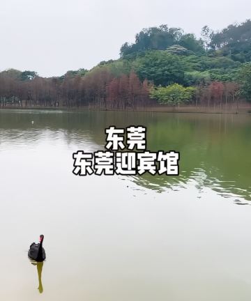 东莞迎宾馆图片