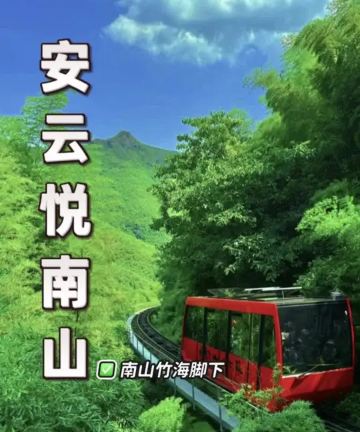南山竹海安雲·悦南山温泉度假酒店图片