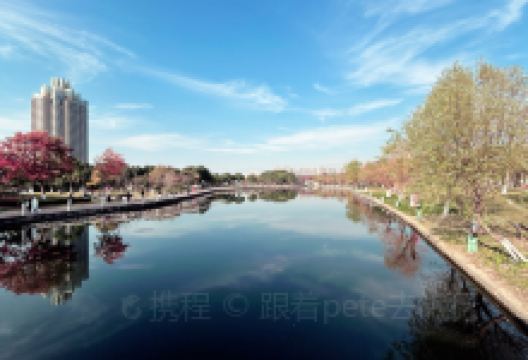 院士公园景点图片