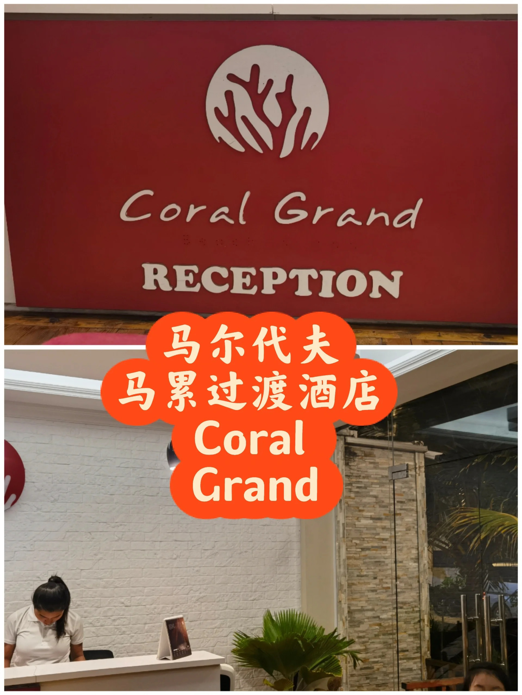 马尔代夫🇲🇻马累过渡酒店Coral Grand|||马尔代夫🇲🇻马累过渡酒店 CORAL GRAND