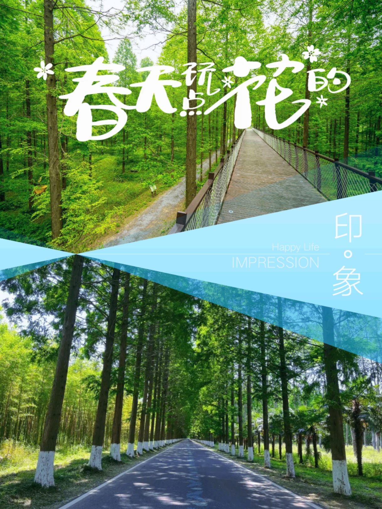 黄海森林公园春季赏花旅游攻略