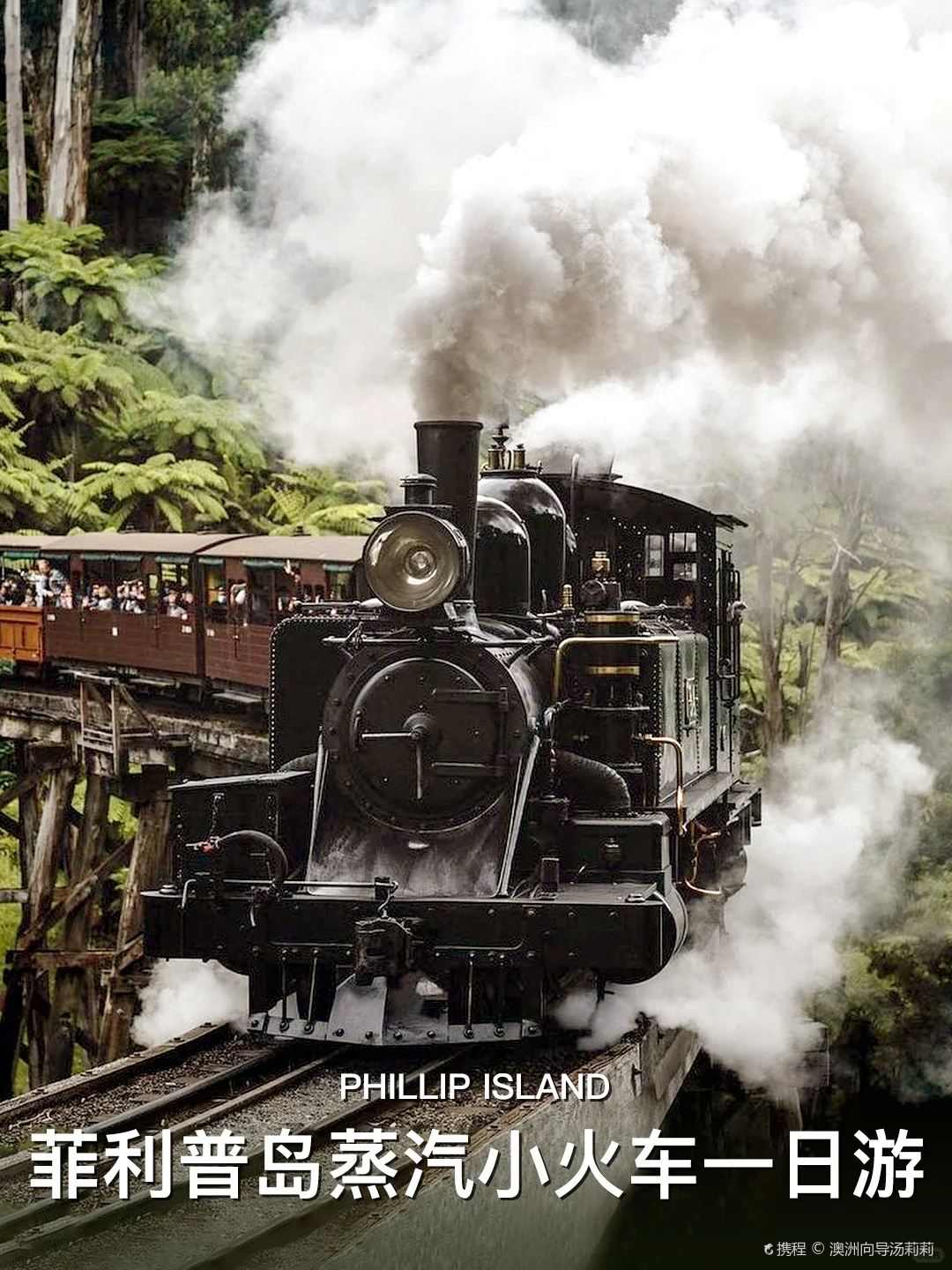 澳洲菲利普岛一日游|玩转蒸汽火车+企鹅岛