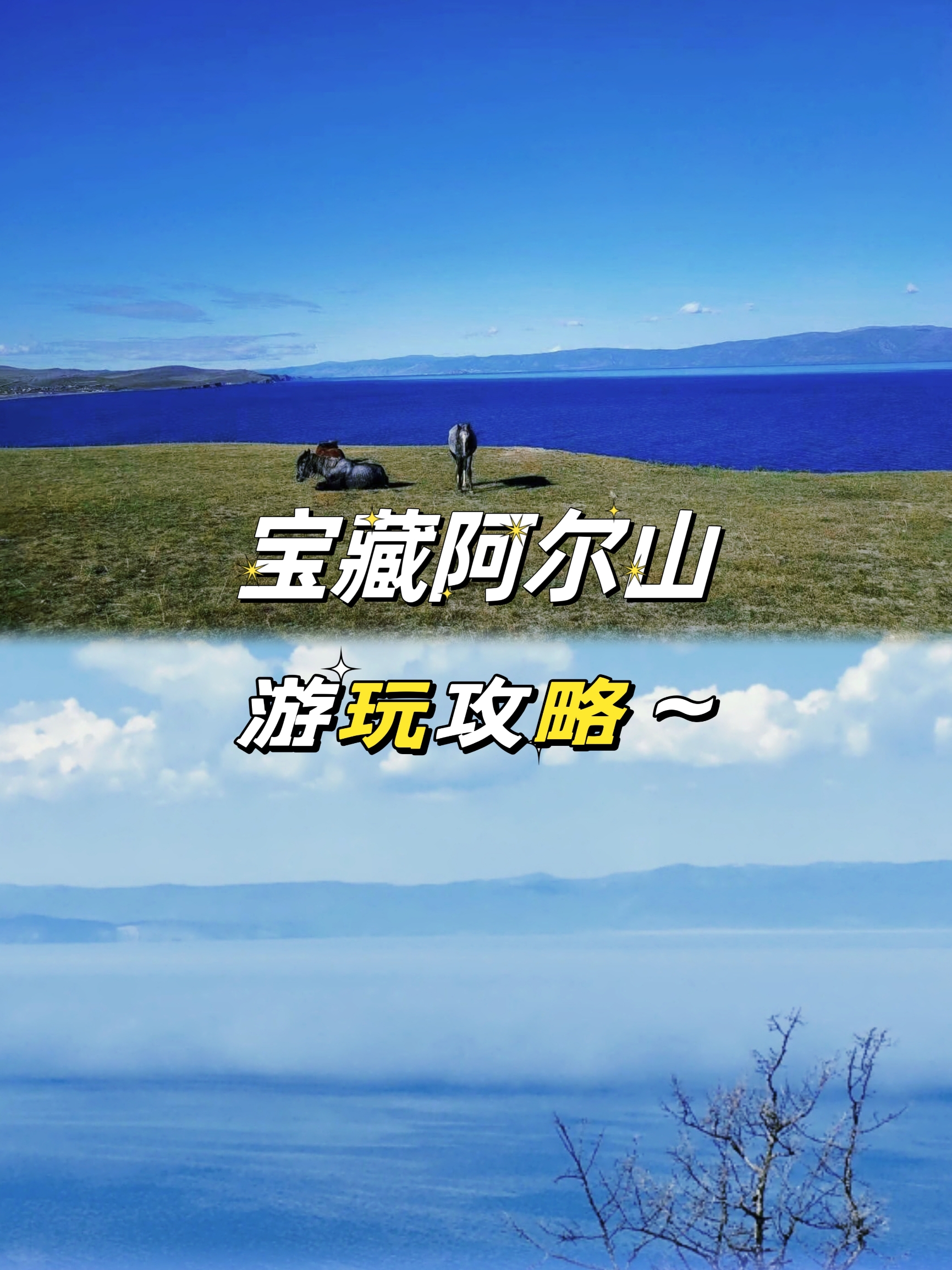 # 阿尔山森林小火车：穿越绿野仙踪的奇妙旅程 🍃