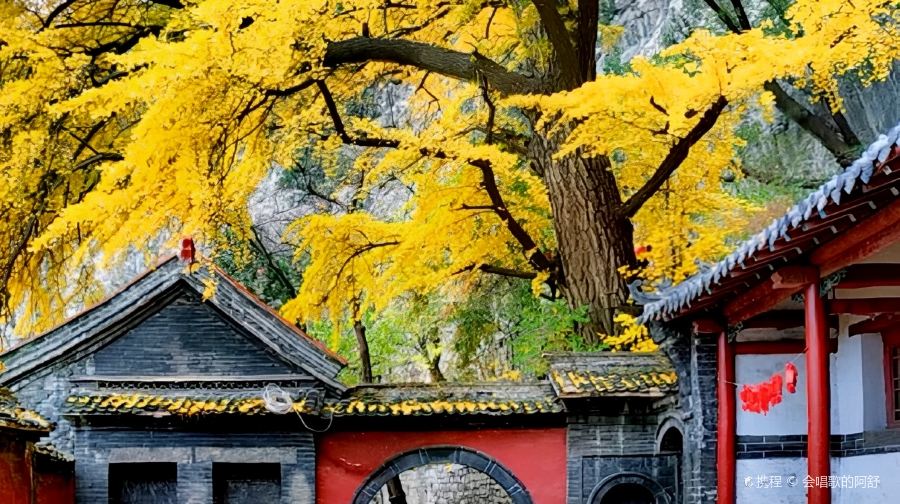 原山白石洞景区