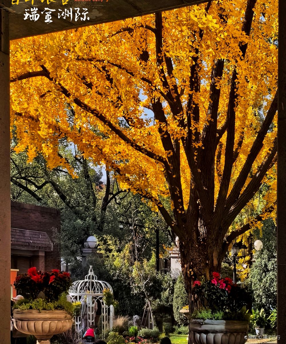 上海瑞金洲际酒店图片