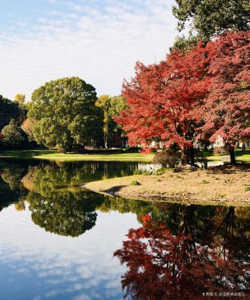 上海东郊宾馆图片