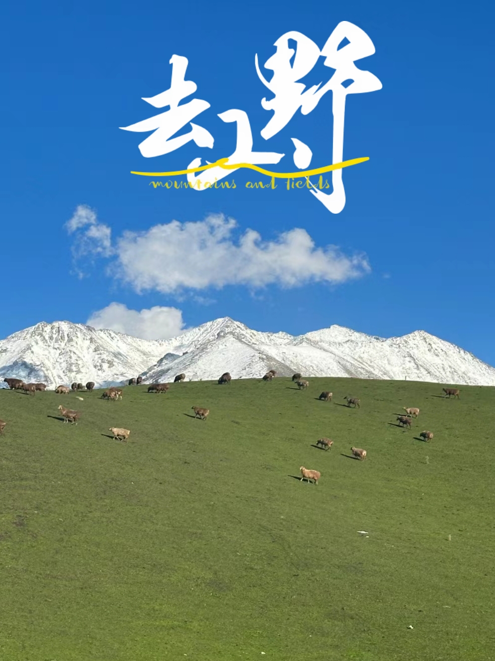 新疆最美的旅游景点，伊宁！！