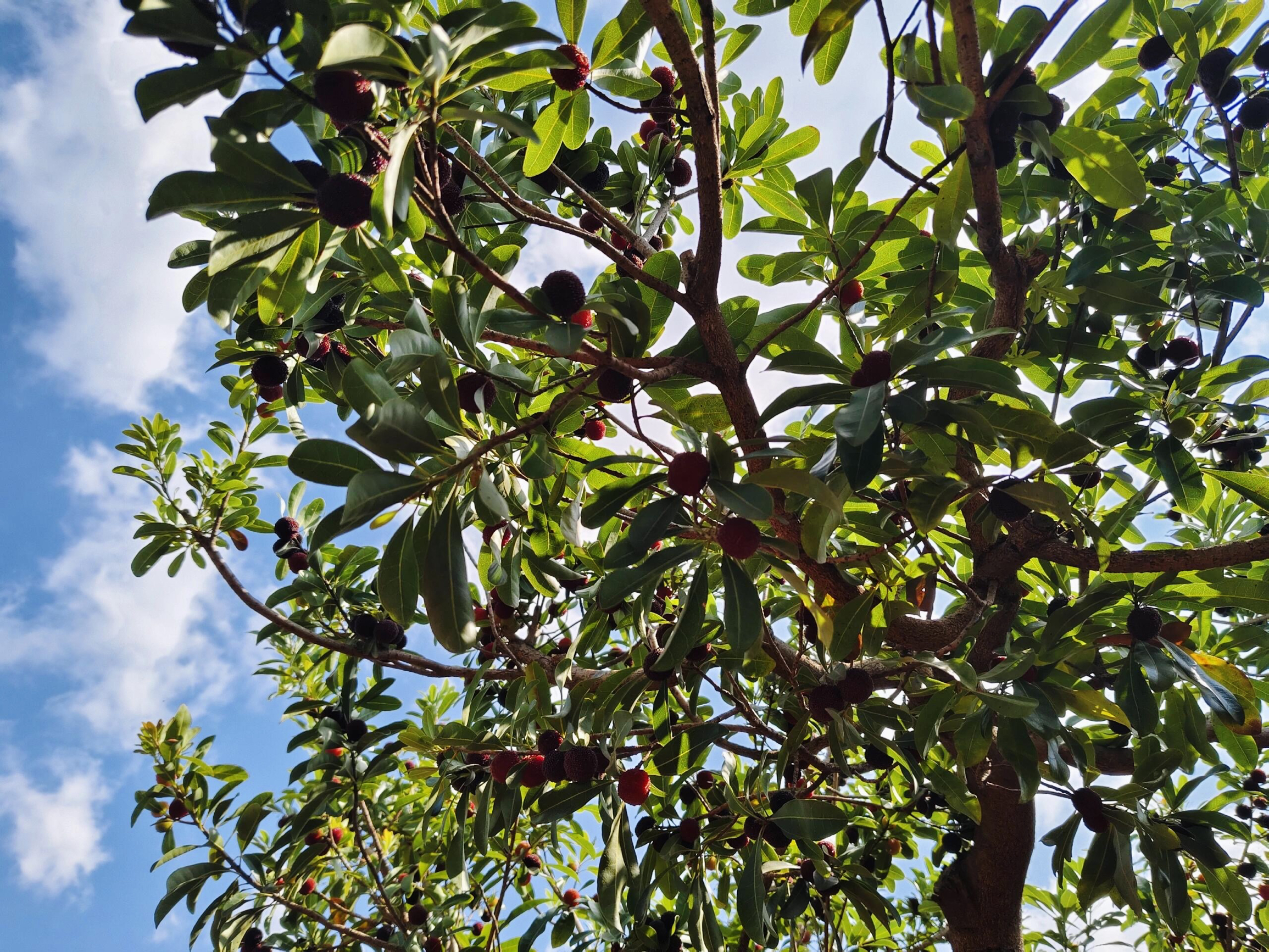 糊辣鸡饭庄餐厅图片