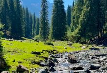 沙沟(苗圃地)避暑山庄美食图片