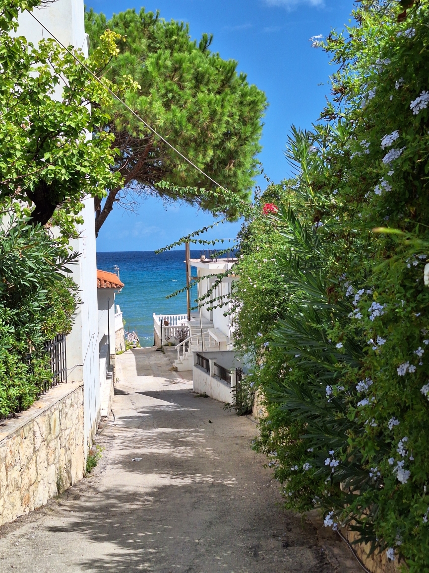 Come to the Grill餐厅图片