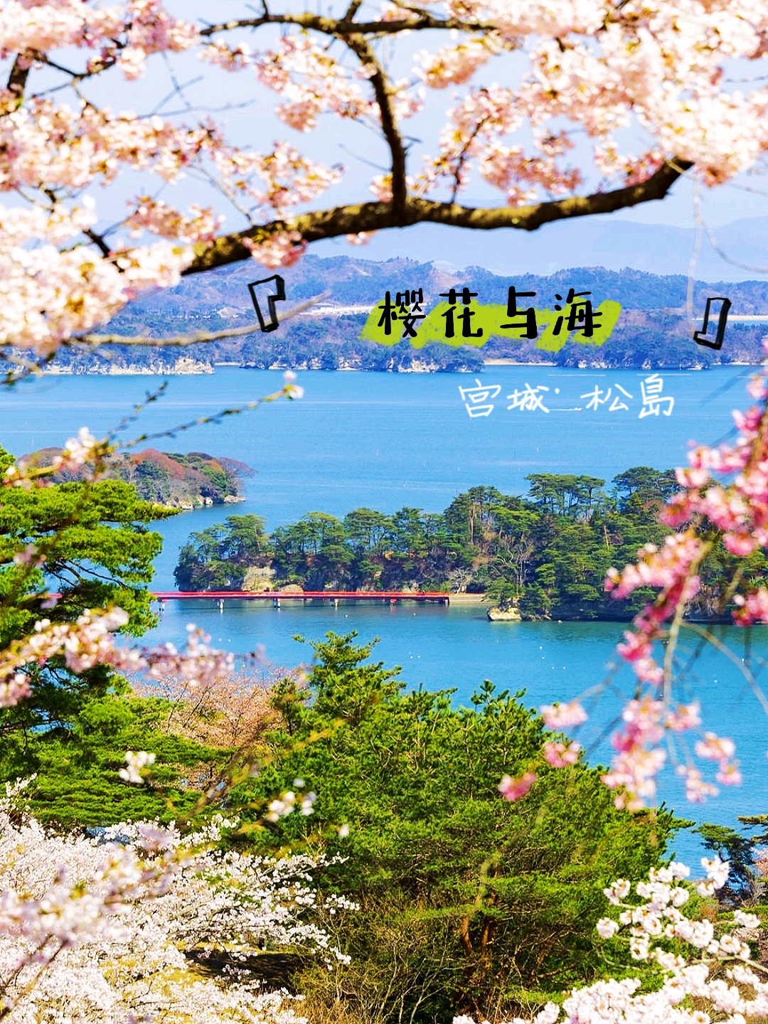 樱花X海·今年就要看不一样的樱花绝景！