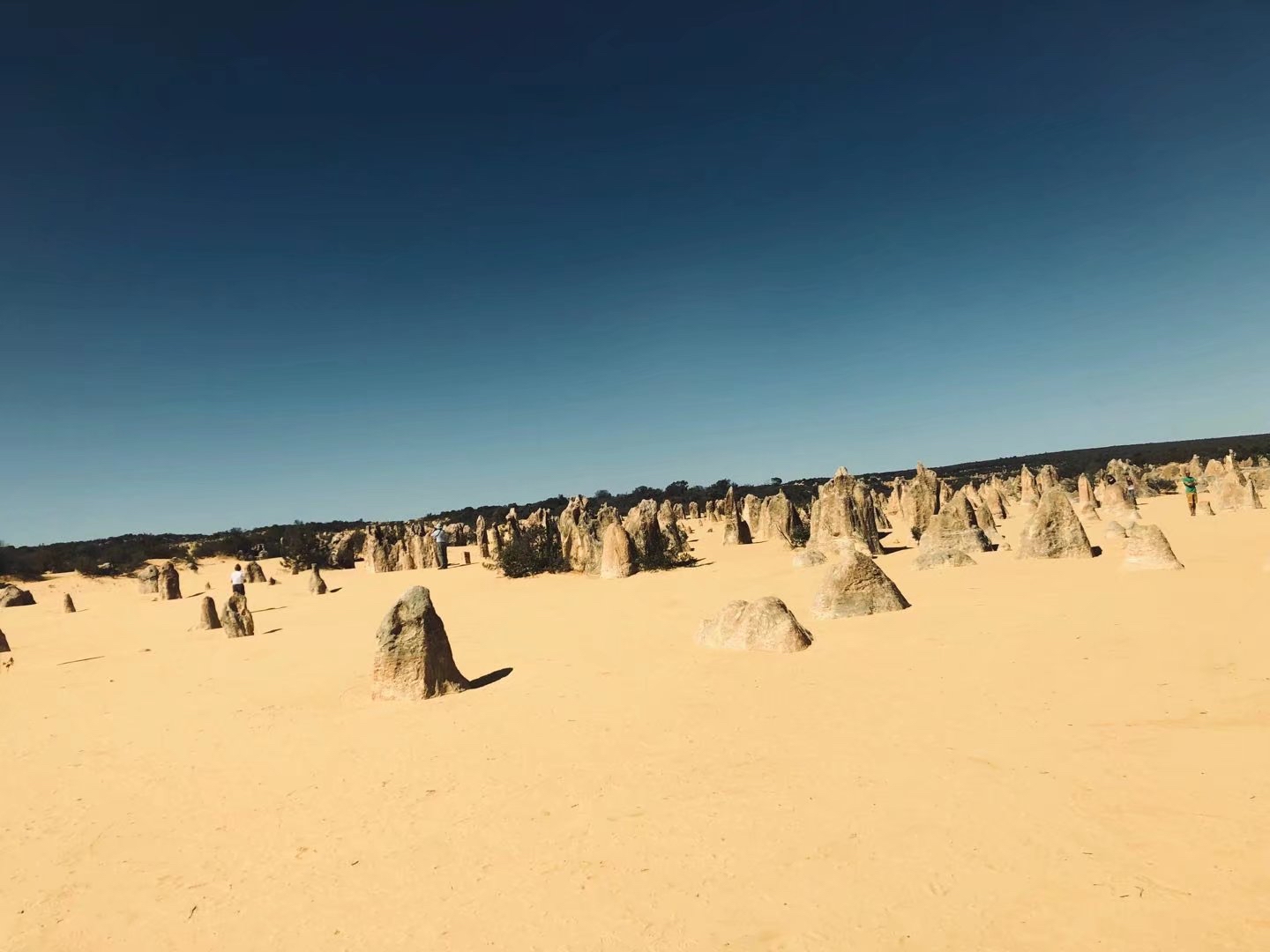 西澳-尖峰石阵(The Pinnacles)