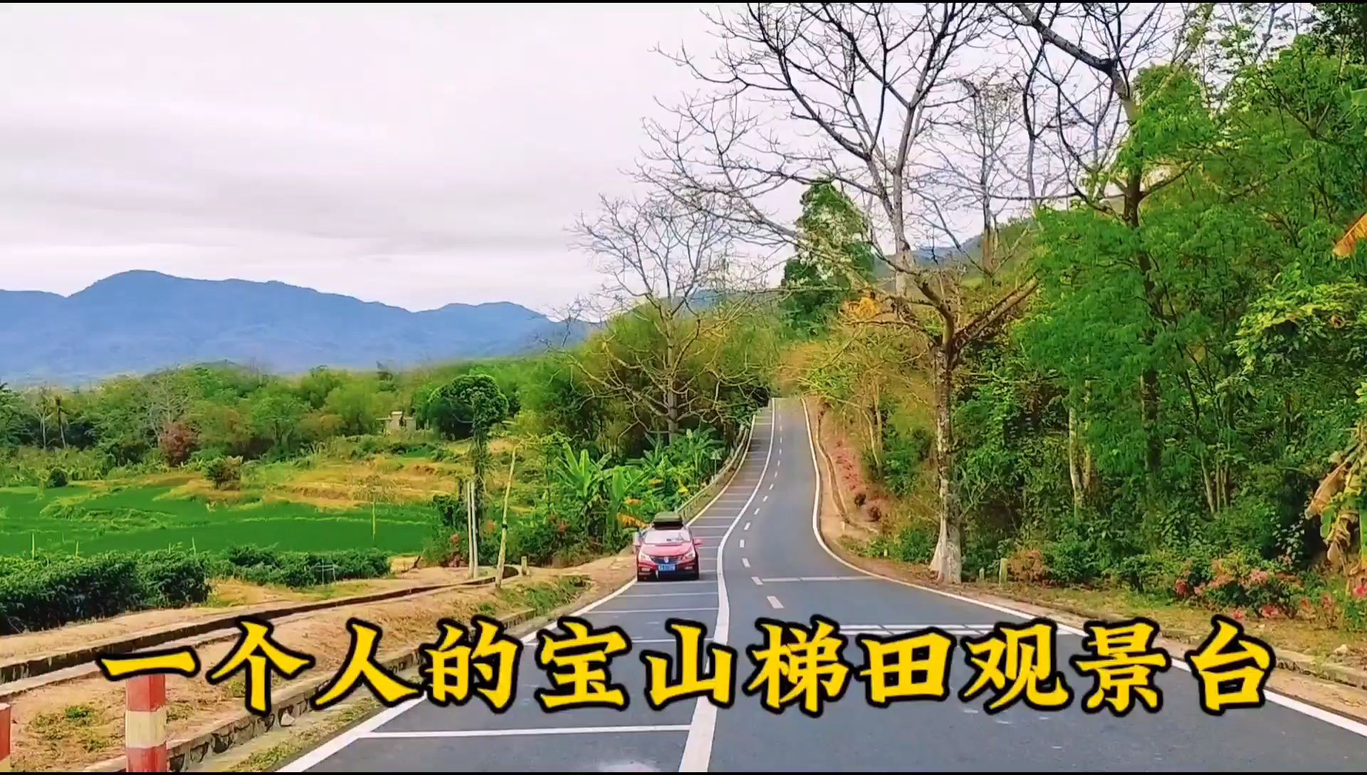 一个人的宝山梯田观景台，身边绿油油的一偏，静静欣赏山间美景