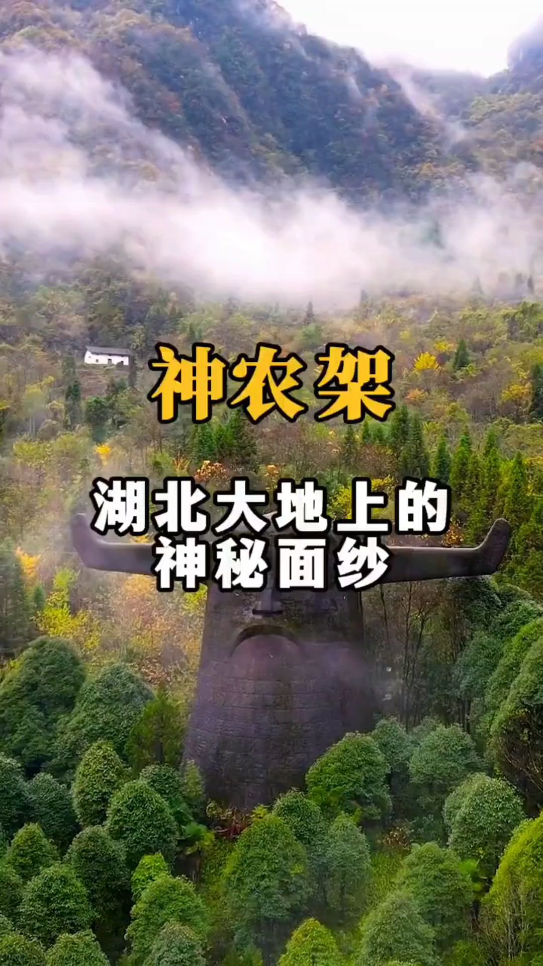 神农架湖北大地上的神秘面纱#旅行推荐官 #小众旅行地