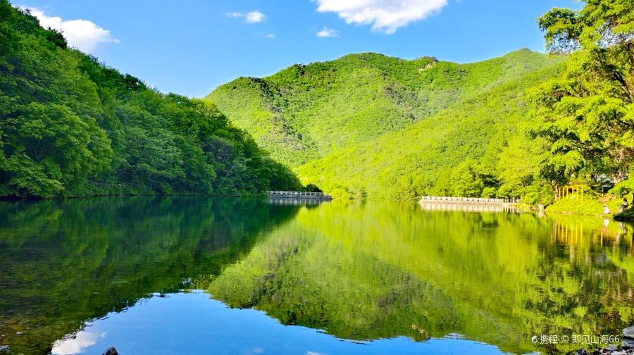 龙道沟