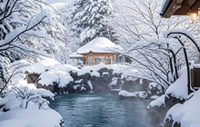 尾花屋餐厅图片