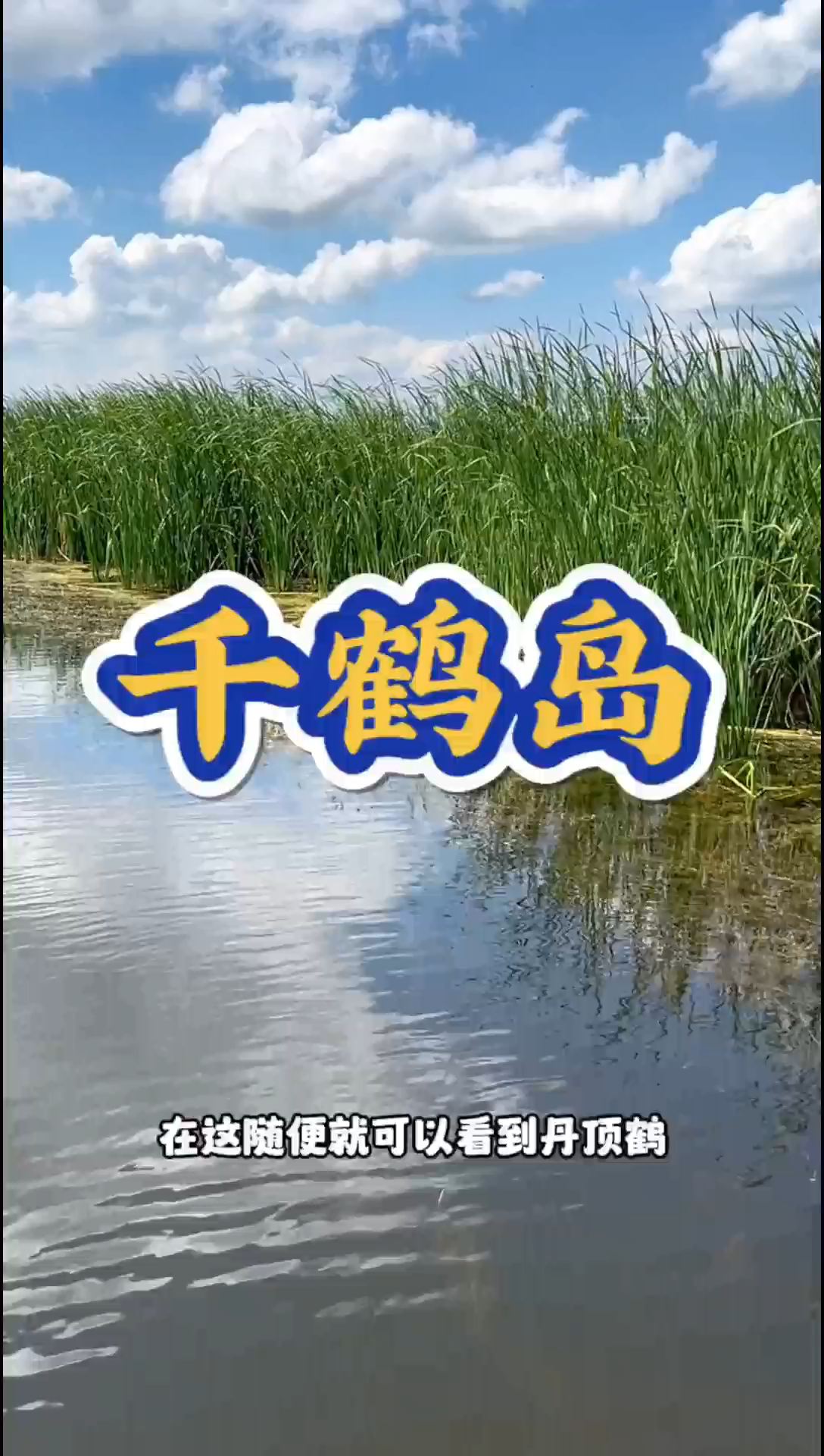 千鹤岛湿地公园 这个夏天值得一去 亲近大自然