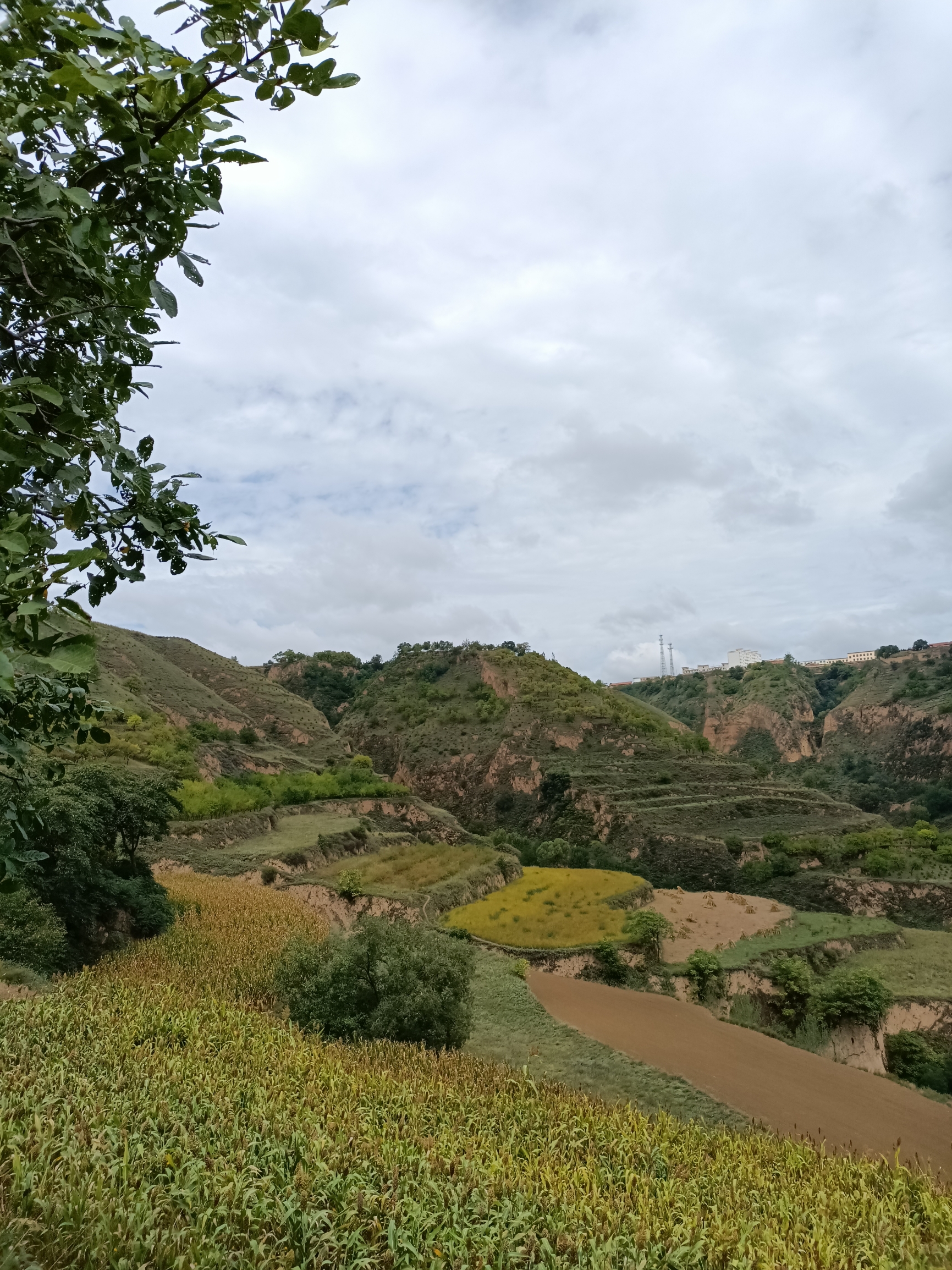 最美山村~庆阳农村