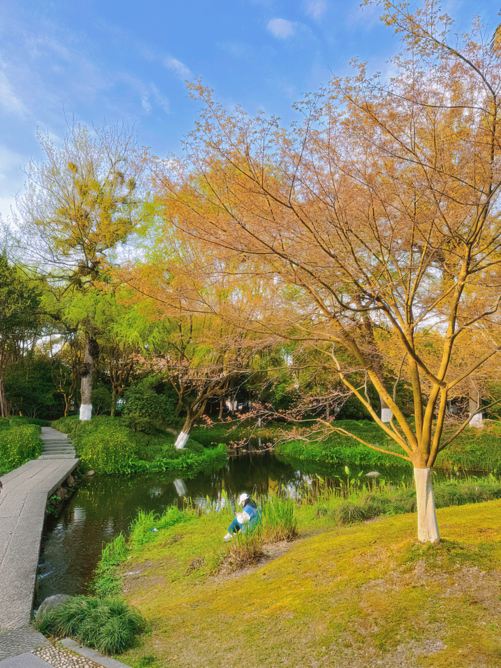 杭州的春天本就是现实版莫奈花园呀🌼